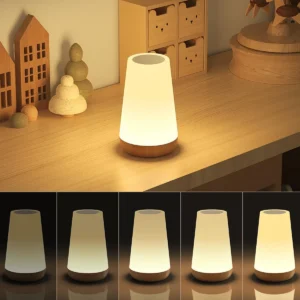 LED Touch Night Remote Control Rechargeable Lamp