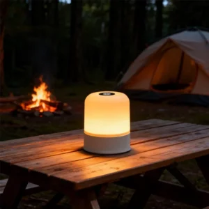 LED Dimmable Rechargeable/Plug-in Lighting